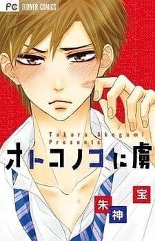 Imagem de capa de Otoko no Ko ni Toriko